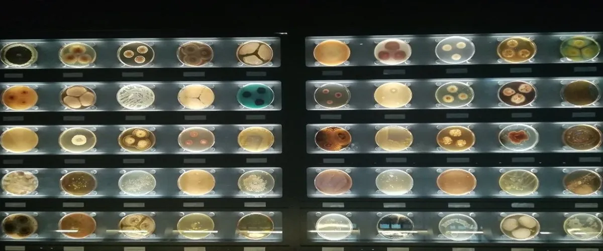 Foto 2 Micropia