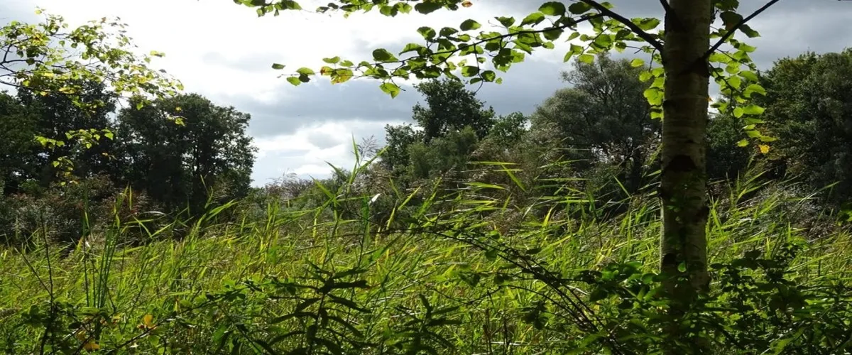 Foto 4 Natuur-reservaat Ooijpolder-De Vlietberg Nijmegen