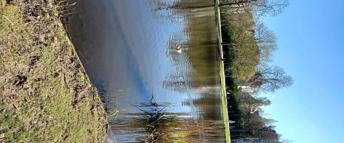 Foto 2 Vondelpark