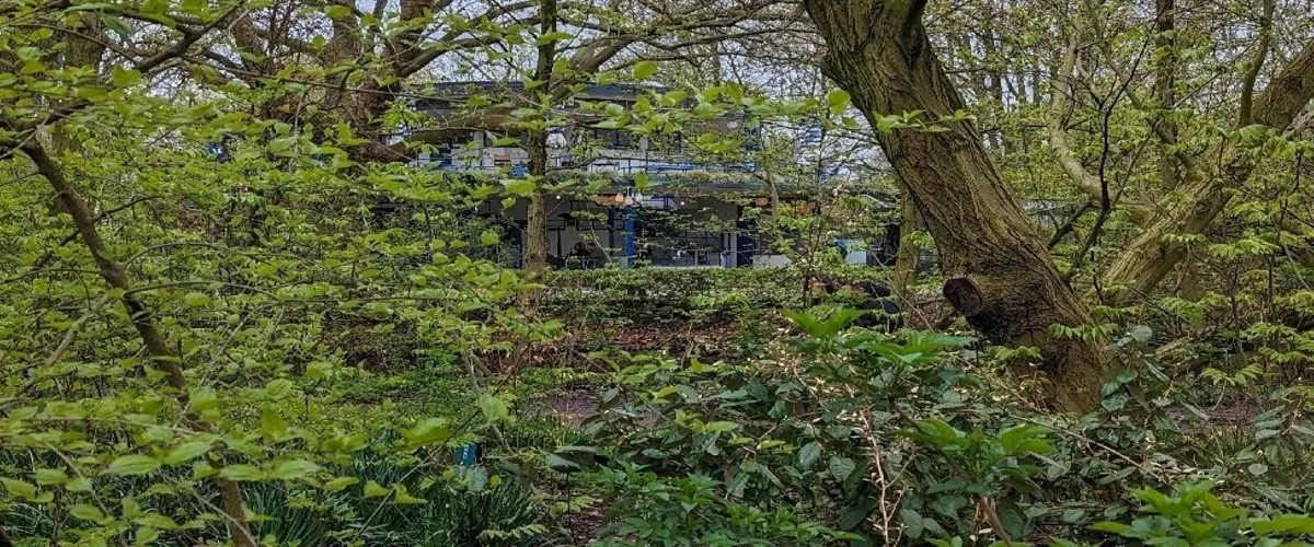 Foto 5 Vondelpark