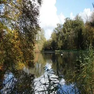 Foto de Het Engelse Werk