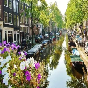 Foto de Jordaan
