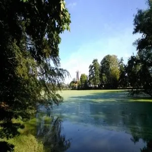 Foto de Kralingse Bos