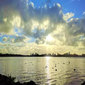 Foto de Kralingse Plas