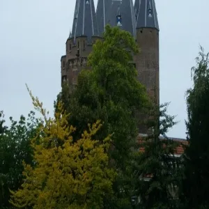 Foto de Park De Wezenlanden