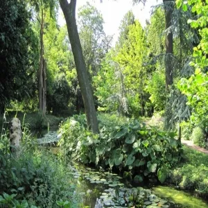 Foto de Park Schoonoord