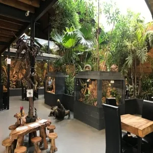 Foto de Reptile House De Aarde Breda