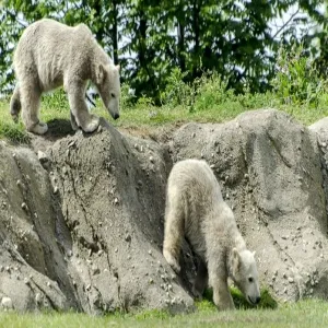 Foto de Rotterdam Zoo