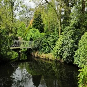 Foto de Trompenburg Gardens & Arboretum