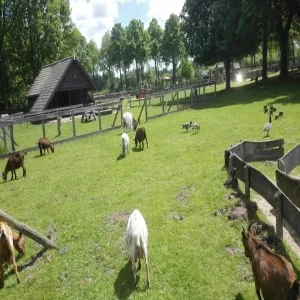 Foto de Wolfslaar Breda