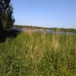 Foto 1 Flevopark