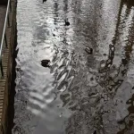 Foto 4 Flevopark