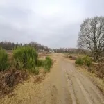 Foto 4 Hoorneboegse Heide