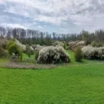 Foto 5 Natuur-reservaat Ooijpolder-De Vlietberg Nijmegen