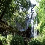 Foto 2 Rotterdam Zoo