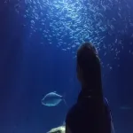 Foto 3 Rotterdam Zoo