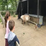 Foto 4 Wolfslaar Breda